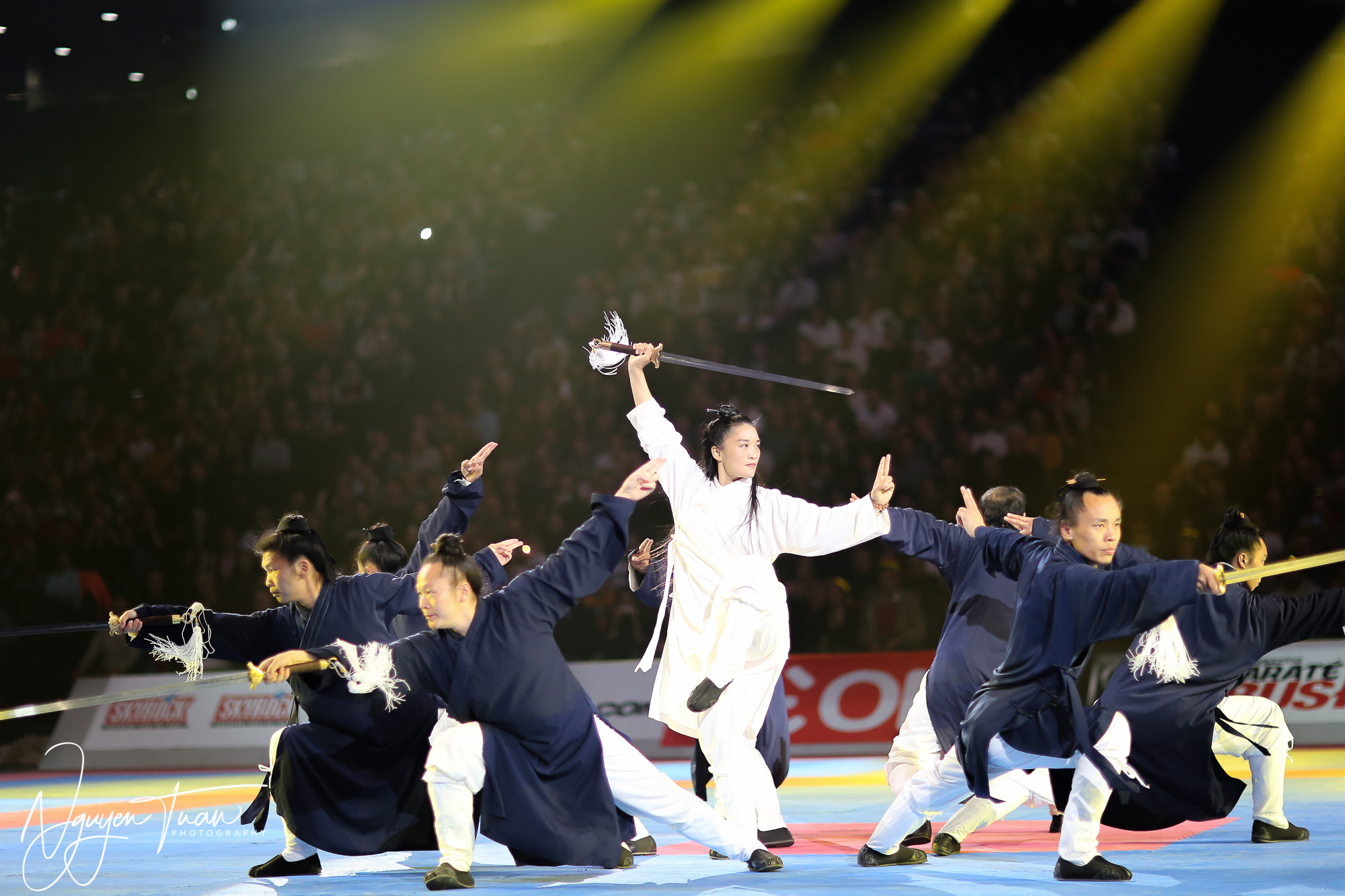 20190324 Festival des Arts Martiaux 2358